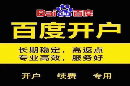 百度竞价SEM成功案例：揭秘广告投放秘诀
